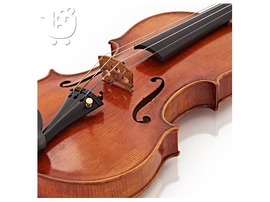 Brand New Archer 44V-800 Επαγγελματικό βιολί